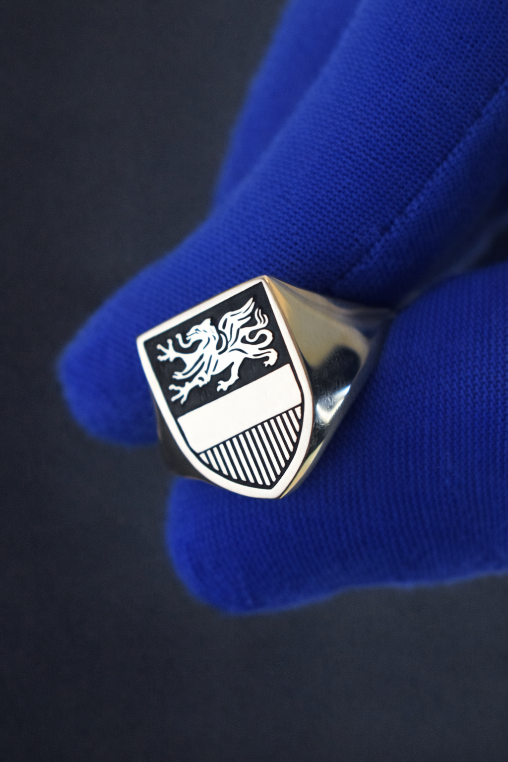 Stadtring Rostock | Offizieller Siegelring aus 925 Silber